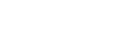 light logo